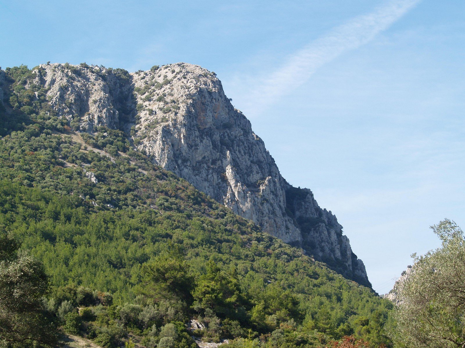 PA230185.jpg