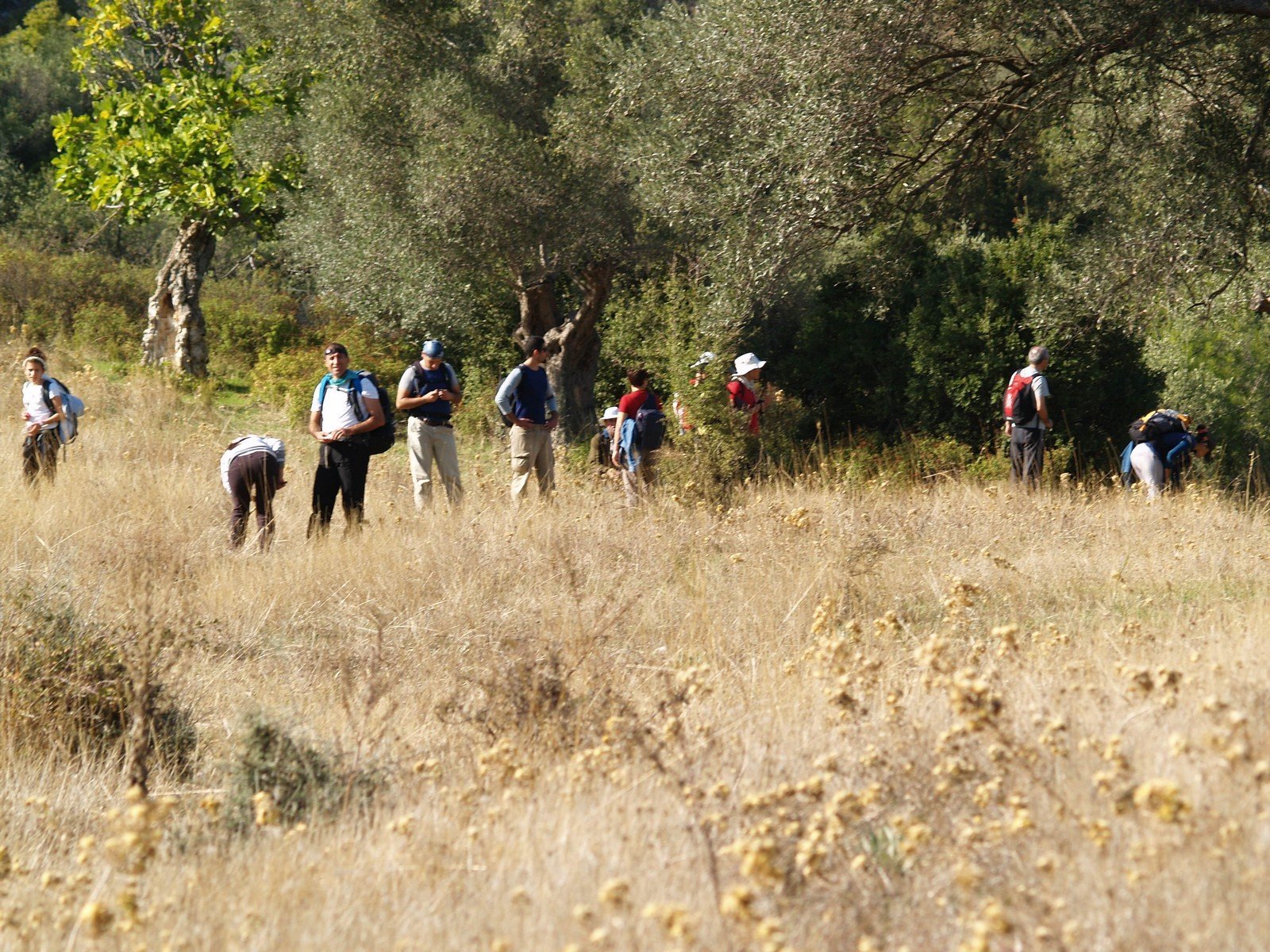 PA230186.jpg