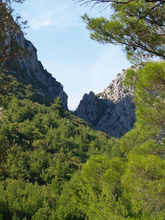 PA230188.jpg