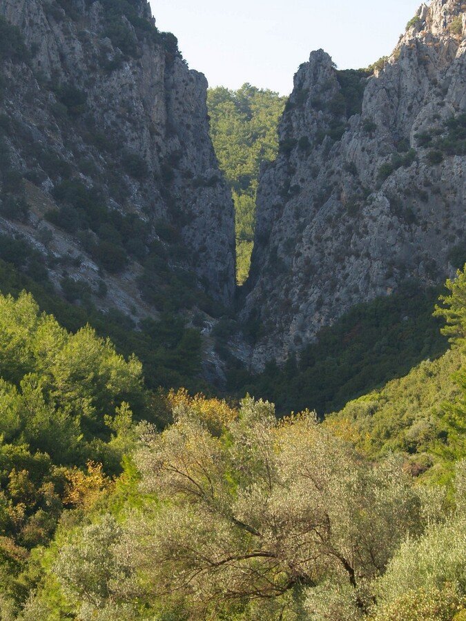 PA230195.jpg