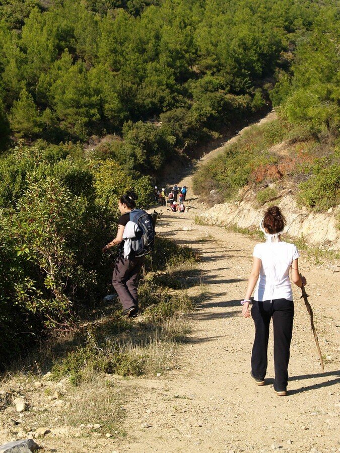 PA230209.jpg