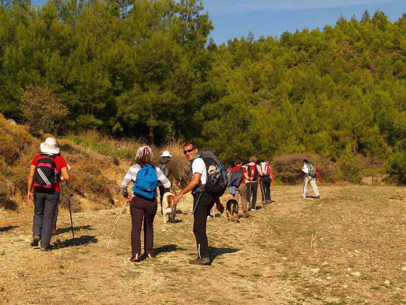 PA230212.jpg