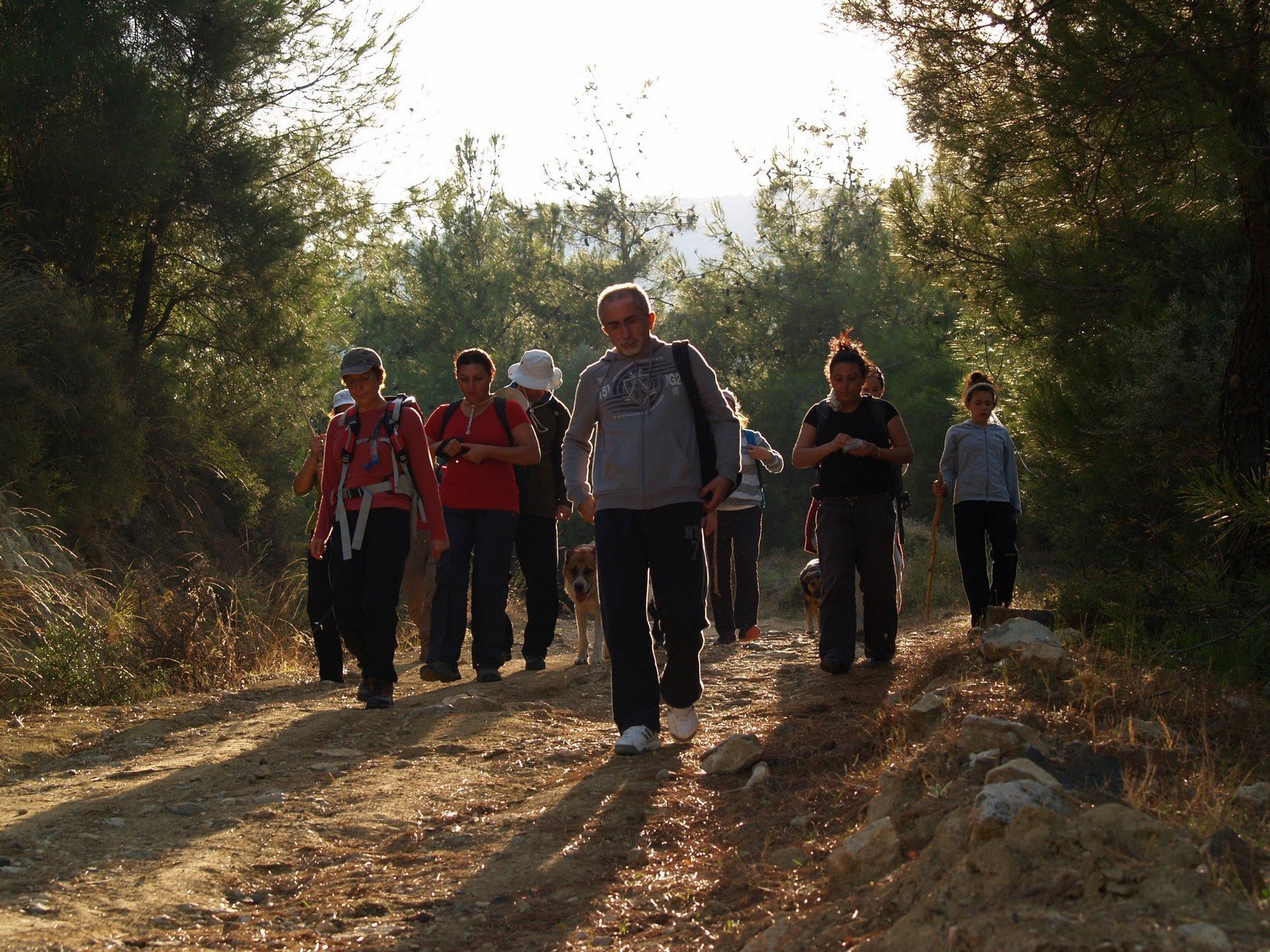 PA230227.jpg