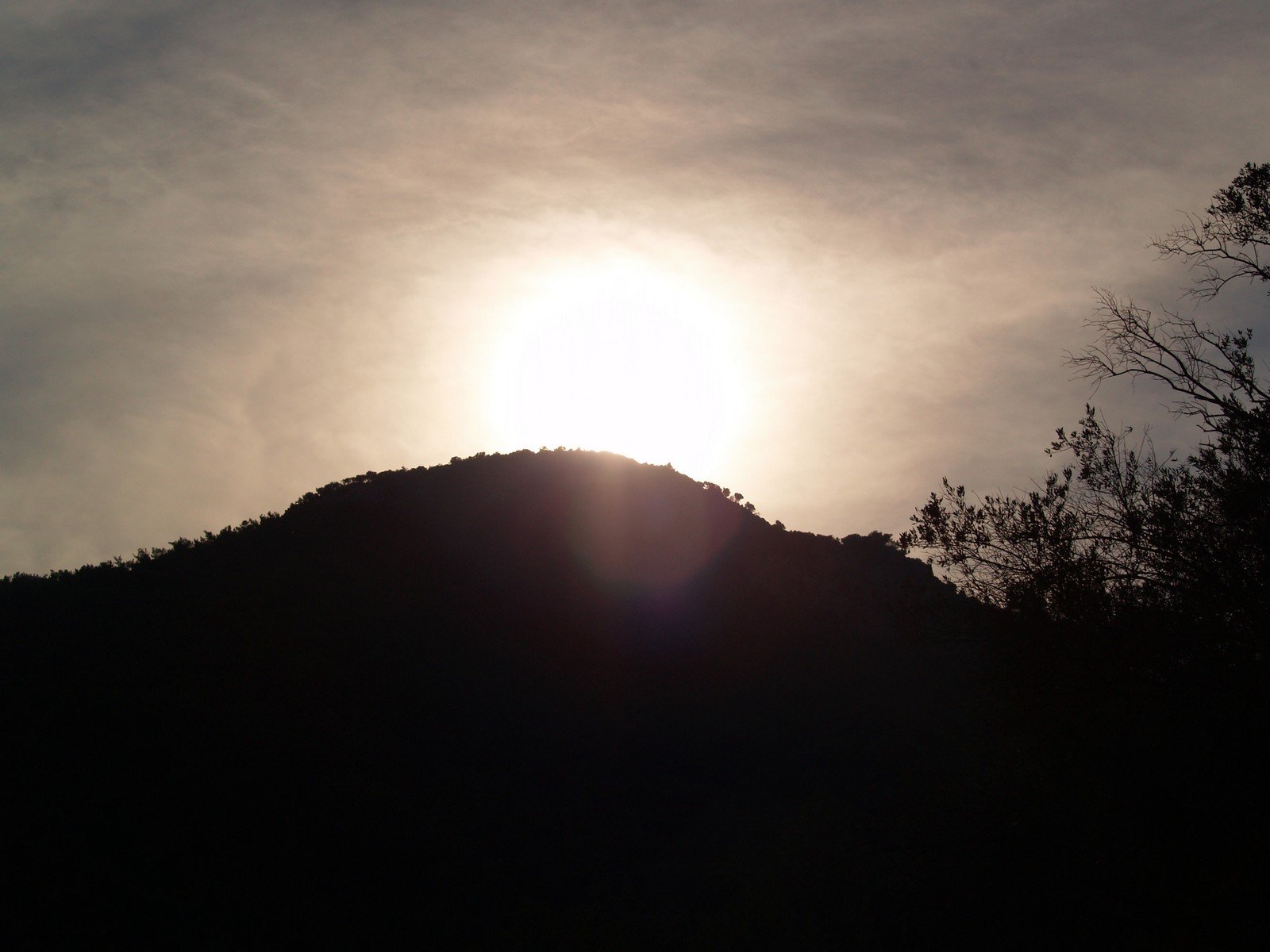 PA230230.jpg