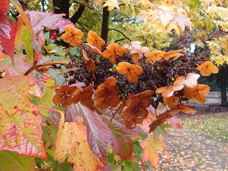 PA231008.jpg
