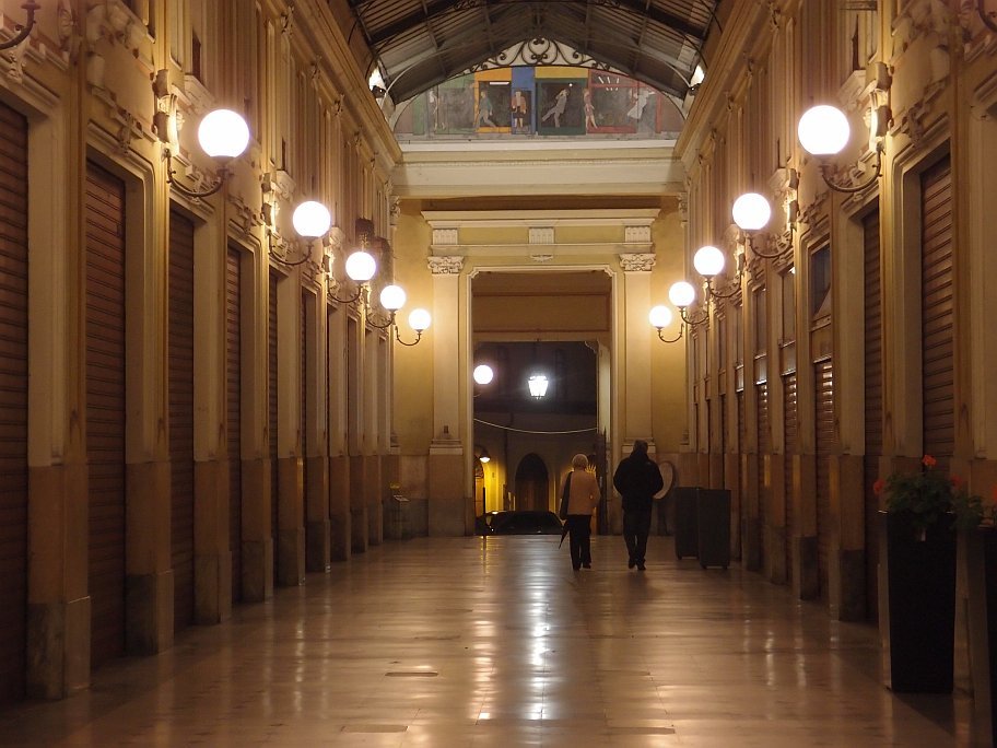 PA231210.jpg