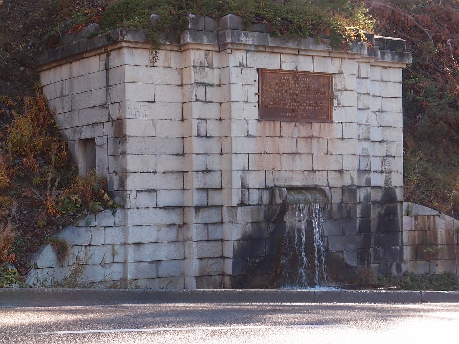 PA241531.jpg