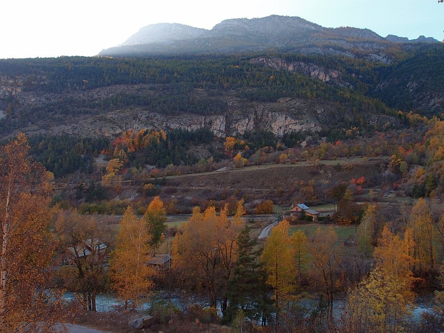 PA241611.jpg