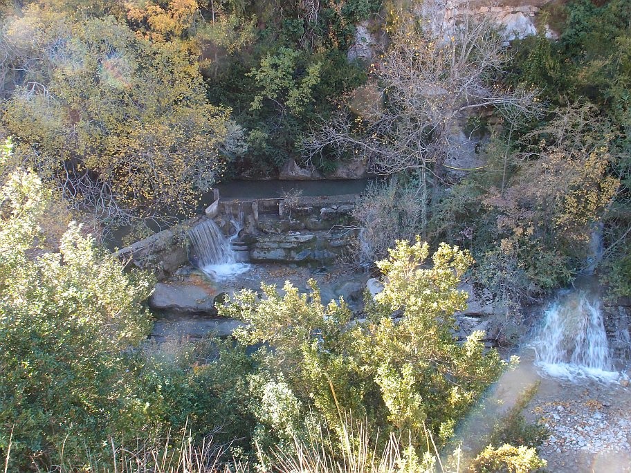 PA251967.jpg