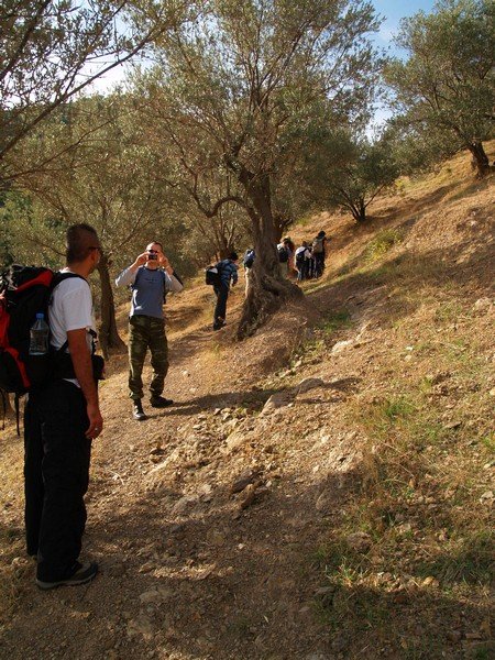 PA252802.jpg