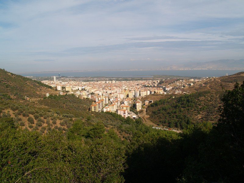 PA252803.jpg