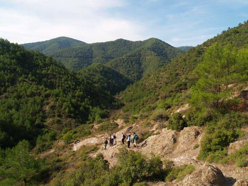 PA252808.jpg