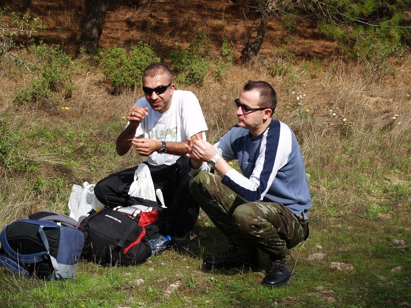 PA252810.jpg