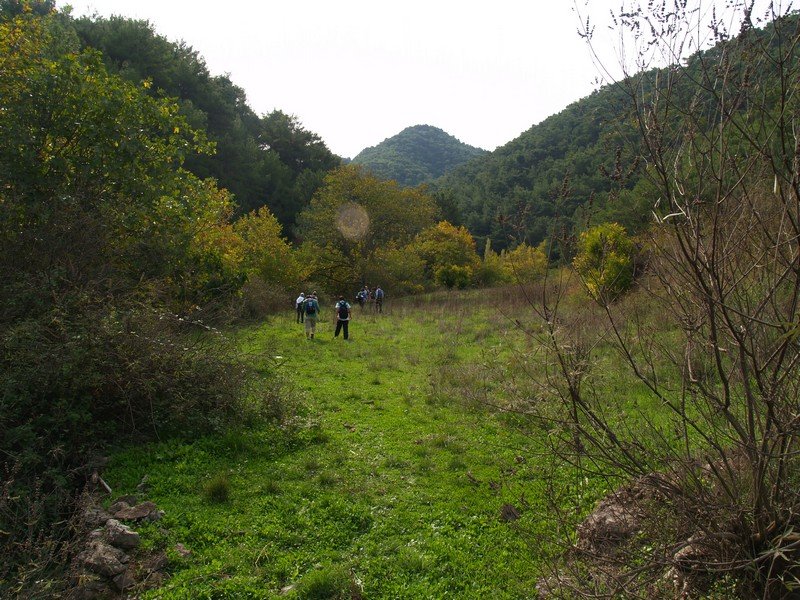 PA252818.jpg