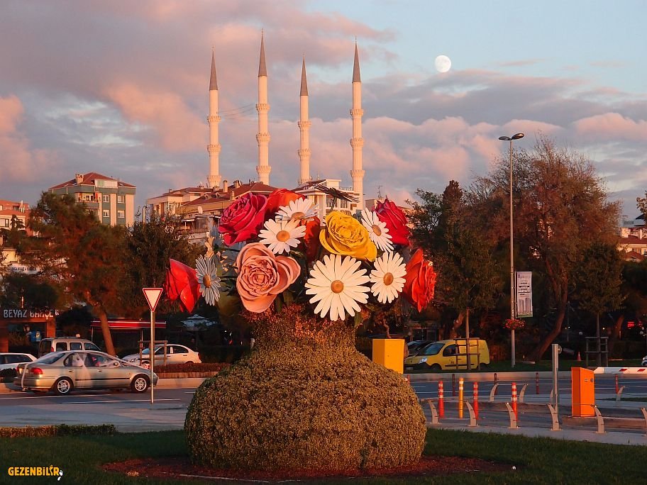 PA259453.jpg