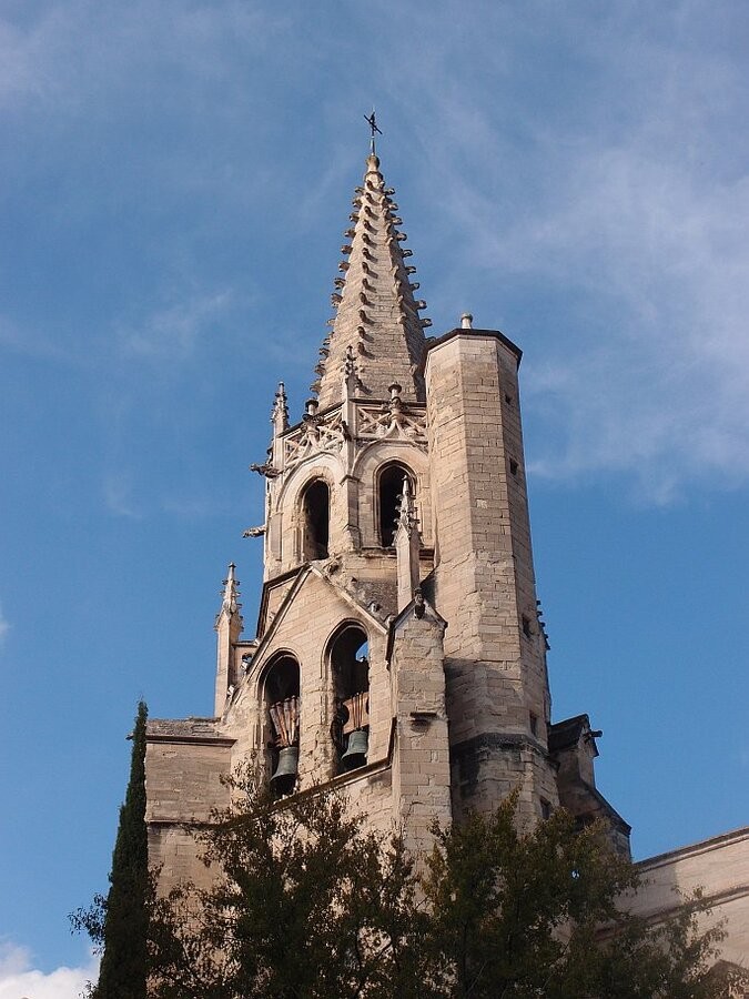 PA262306.jpg