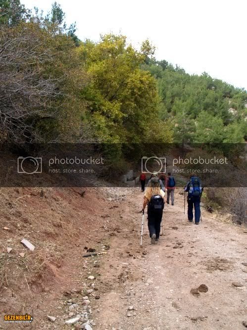 PA267766.jpg