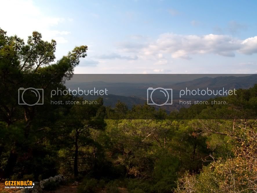 PA267775.jpg