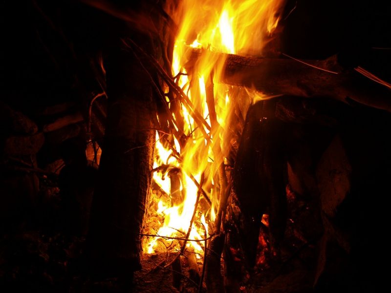 PA290365.jpg