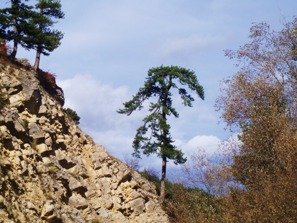 PA300159.JPG