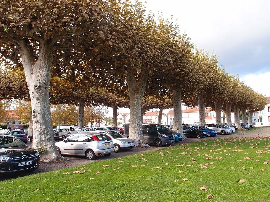 PA303650.jpg