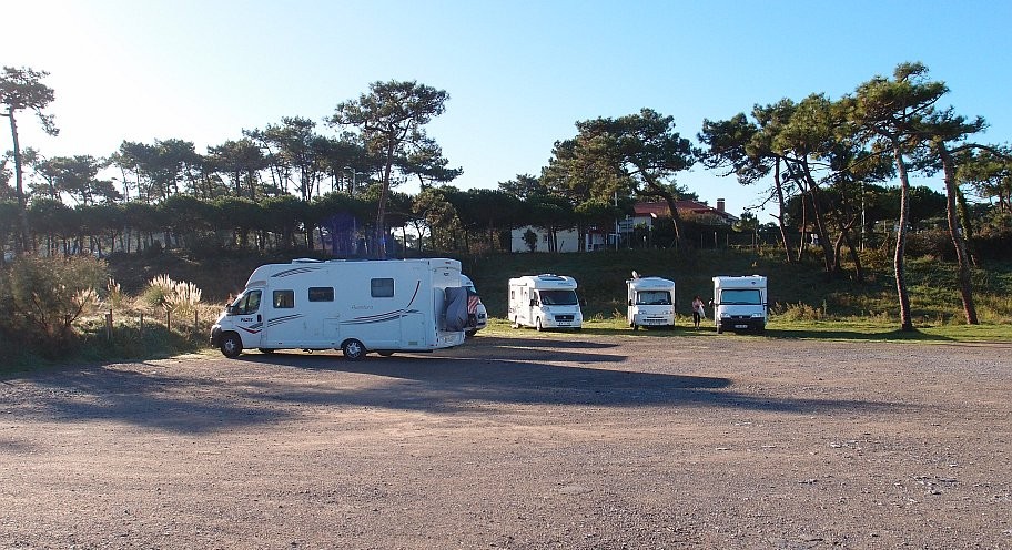 PA313742.jpg