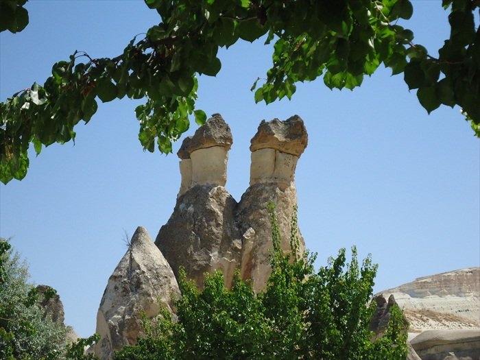 PaÃƒÂƒÃ‚Â…ÃƒÂ‚Ã‚ÂŸabaÃƒÂƒÃ‚Â„ÃƒÂ‚Ã‚ÂŸÃƒÂƒÃ‚Â„ÃƒÂ‚Ã‚Â±.jpg