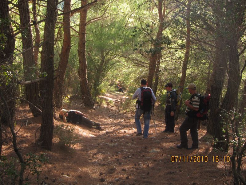 PÃƒÂƒÃ‚Â„ÃƒÂ‚Ã‚Â±narbaÃƒÂƒÃ‚Â…ÃƒÂ‚Ã‚ÂŸÃƒÂƒÃ‚Â„ÃƒÂ‚Ã‚Â± 090.jpg