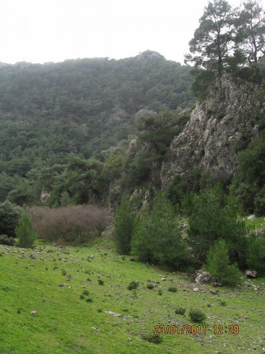 PÃƒÂƒÃ‚Â„ÃƒÂ‚Ã‚Â±narbaÃƒÂƒÃ‚Â…ÃƒÂ‚Ã‚ÂŸÃƒÂƒÃ‚Â„ÃƒÂ‚Ã‚Â± - GÃƒÂƒÃ‚ÂƒÃƒÂ‚Ã‚Â¶kdere (23.01.11) 013.jpg