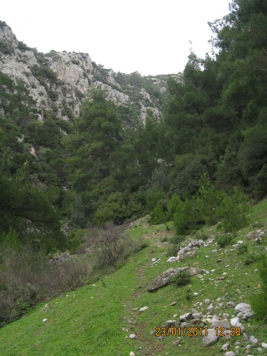 PÃƒÂƒÃ‚Â„ÃƒÂ‚Ã‚Â±narbaÃƒÂƒÃ‚Â…ÃƒÂ‚Ã‚ÂŸÃƒÂƒÃ‚Â„ÃƒÂ‚Ã‚Â± - GÃƒÂƒÃ‚ÂƒÃƒÂ‚Ã‚Â¶kdere (23.01.11) 014.jpg