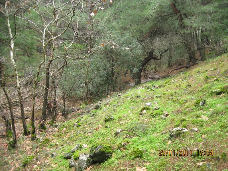 PÃƒÂƒÃ‚Â„ÃƒÂ‚Ã‚Â±narbaÃƒÂƒÃ‚Â…ÃƒÂ‚Ã‚ÂŸÃƒÂƒÃ‚Â„ÃƒÂ‚Ã‚Â± - GÃƒÂƒÃ‚ÂƒÃƒÂ‚Ã‚Â¶kdere (23.01.11) 021.jpg