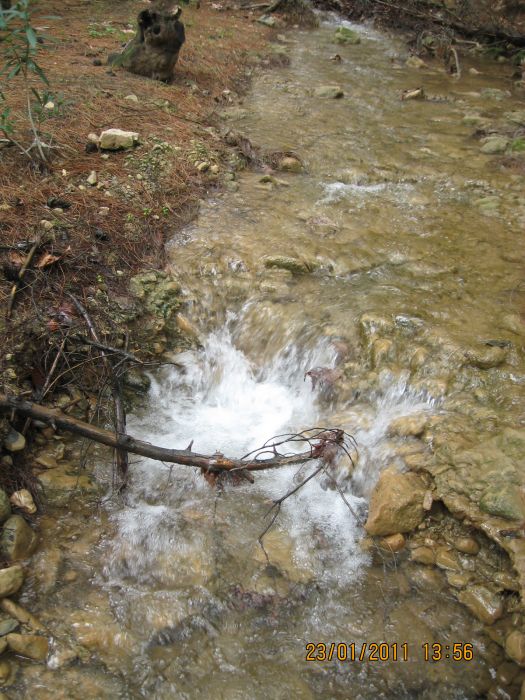 PÃƒÂƒÃ‚Â„ÃƒÂ‚Ã‚Â±narbaÃƒÂƒÃ‚Â…ÃƒÂ‚Ã‚ÂŸÃƒÂƒÃ‚Â„ÃƒÂ‚Ã‚Â± - GÃƒÂƒÃ‚ÂƒÃƒÂ‚Ã‚Â¶kdere (23.01.11) 022.jpg