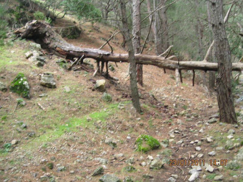 PÃƒÂƒÃ‚Â„ÃƒÂ‚Ã‚Â±narbaÃƒÂƒÃ‚Â…ÃƒÂ‚Ã‚ÂŸÃƒÂƒÃ‚Â„ÃƒÂ‚Ã‚Â± - GÃƒÂƒÃ‚ÂƒÃƒÂ‚Ã‚Â¶kdere (23.01.11) 027.jpg