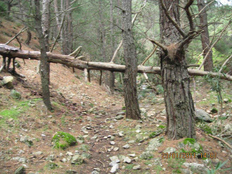 PÃƒÂƒÃ‚Â„ÃƒÂ‚Ã‚Â±narbaÃƒÂƒÃ‚Â…ÃƒÂ‚Ã‚ÂŸÃƒÂƒÃ‚Â„ÃƒÂ‚Ã‚Â± - GÃƒÂƒÃ‚ÂƒÃƒÂ‚Ã‚Â¶kdere (23.01.11) 028.jpg