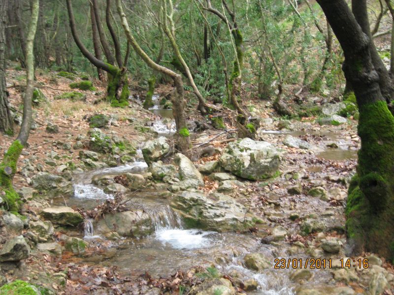 PÃƒÂƒÃ‚Â„ÃƒÂ‚Ã‚Â±narbaÃƒÂƒÃ‚Â…ÃƒÂ‚Ã‚ÂŸÃƒÂƒÃ‚Â„ÃƒÂ‚Ã‚Â± - GÃƒÂƒÃ‚ÂƒÃƒÂ‚Ã‚Â¶kdere (23.01.11) 029.jpg