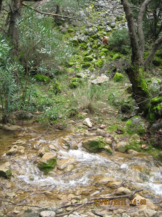 PÃƒÂƒÃ‚Â„ÃƒÂ‚Ã‚Â±narbaÃƒÂƒÃ‚Â…ÃƒÂ‚Ã‚ÂŸÃƒÂƒÃ‚Â„ÃƒÂ‚Ã‚Â± - GÃƒÂƒÃ‚ÂƒÃƒÂ‚Ã‚Â¶kdere (23.01.11) 030.jpg