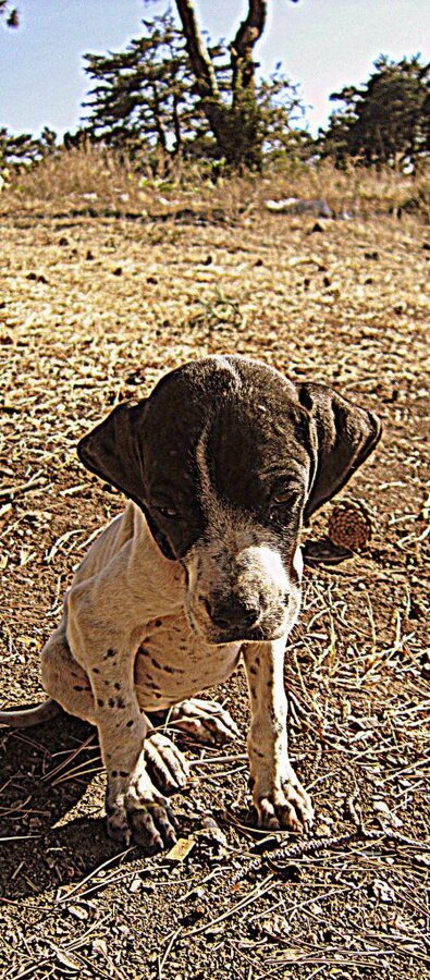 pamukova bakacak uzanlar 045.JPG