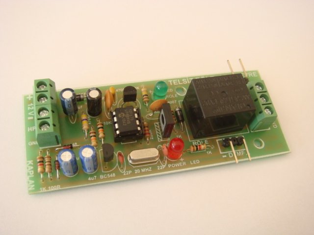 papagan rÃƒÂƒÃ‚ÂƒÃƒÂ‚Ã‚Â¶le.JPG