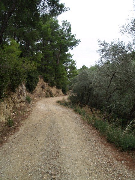 PB012893.jpg