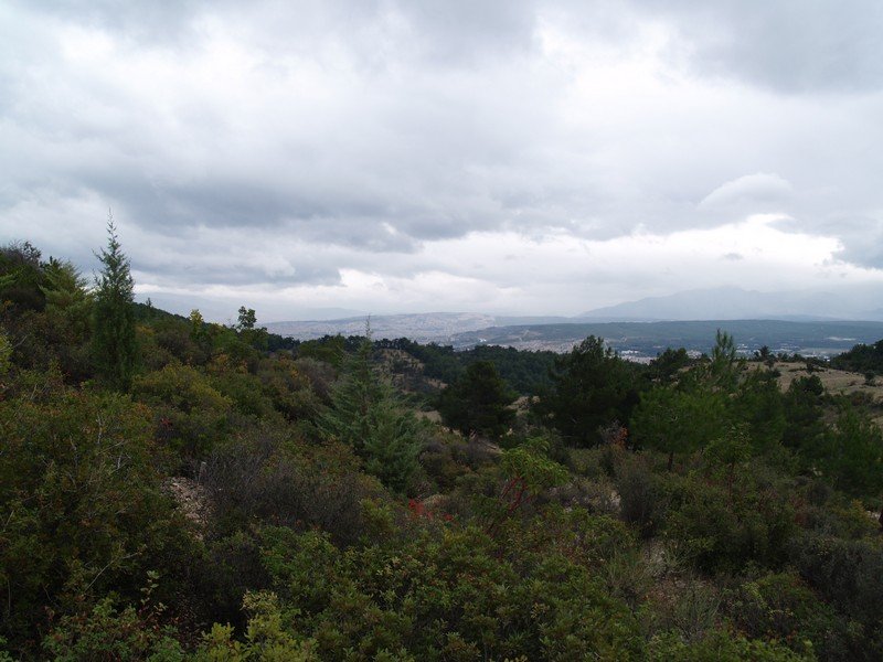 PB012899.jpg