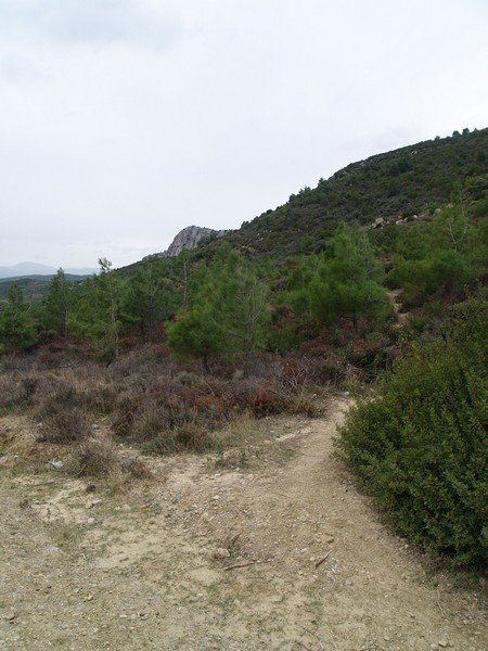 PB012902.jpg