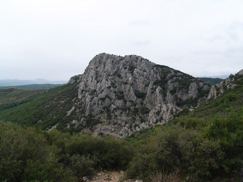 PB012909.jpg