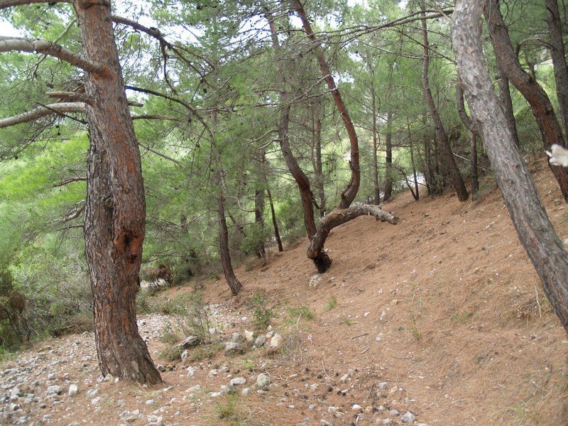 PB012912.jpg