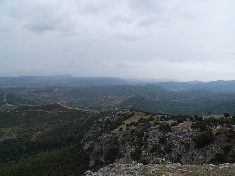 PB012961.jpg