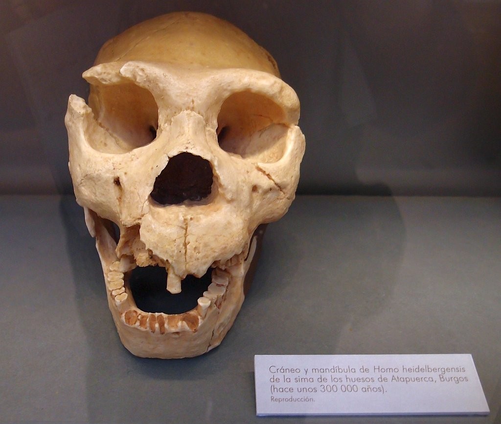 PB014032.jpg