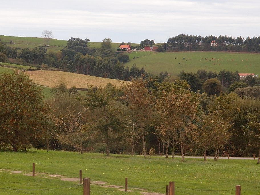 PB014078.jpg