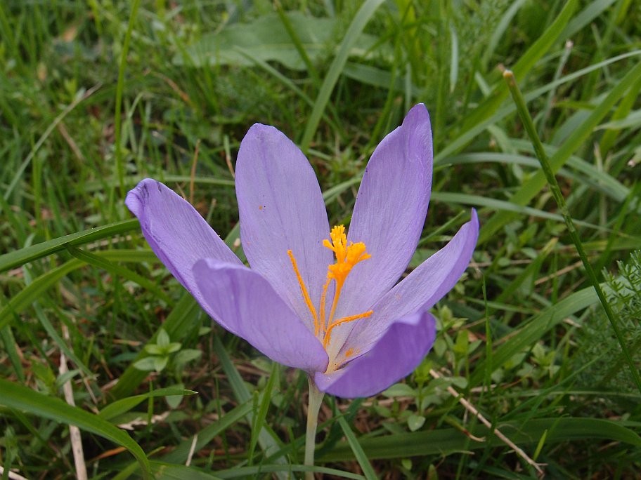 PB014082.jpg