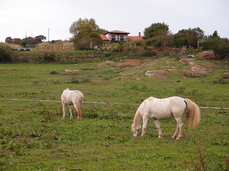 PB014189.jpg