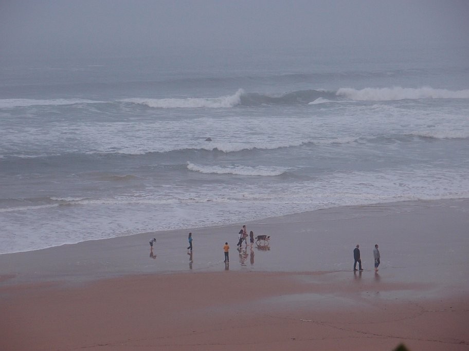 PB014217.jpg