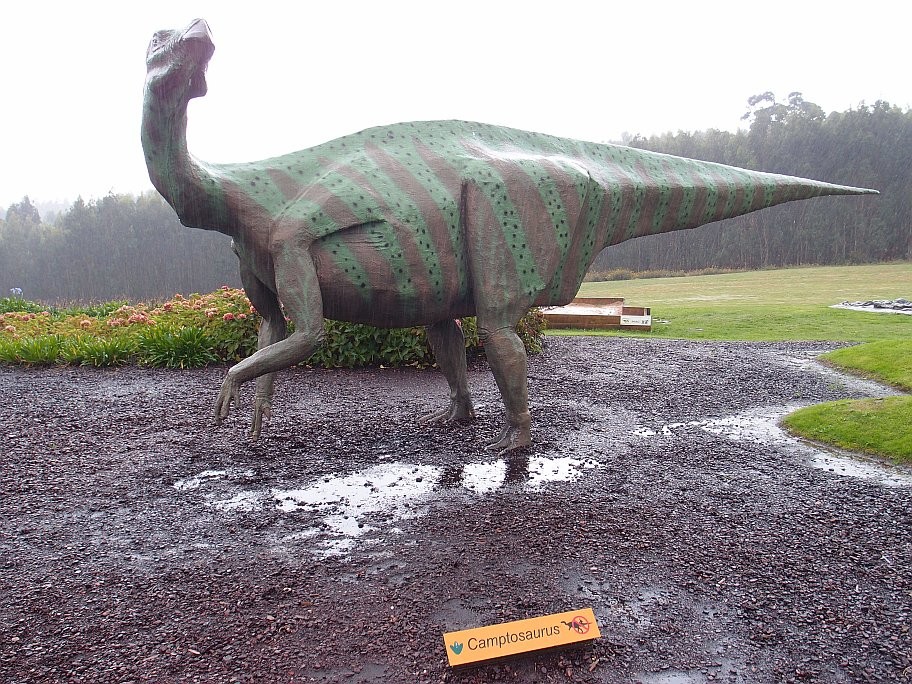 PB024453.jpg